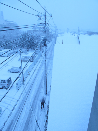 2013年 関東 大雪