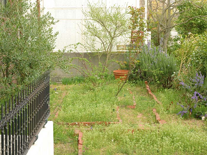 2013年春の庭