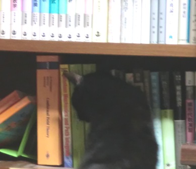 読書猫１
