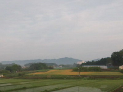 足尾山と麦畑