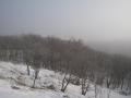 2月霧の湿原1