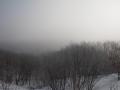 2月霧の湿原2