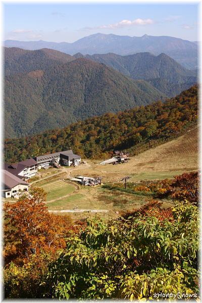 谷川岳×紅葉