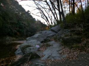 嵐山渓谷2012年12月7日