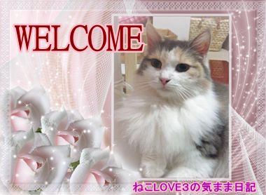 WELCOME　めい