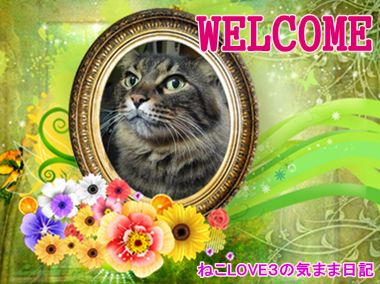 WELCOME　チビ