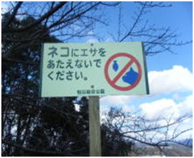 愛媛県松山総合公園とは？虐待をあおる看板が数々！石を投げられ死んだ白猫や両耳をそがれた猫がいます001