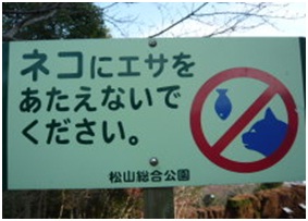 愛媛県松山総合公園とは？虐待をあおる看板が数々！石を投げられ死んだ白猫や両耳をそがれた猫がいます002