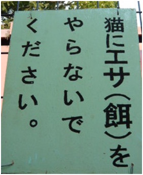 愛媛県松山総合公園とは？虐待をあおる看板が数々！石を投げられ死んだ白猫や両耳をそがれた猫がいます009