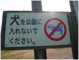 愛媛県松山総合公園とは？虐待をあおる看板が数々！石を投げられ死んだ白猫や両耳をそがれた猫がいます013
