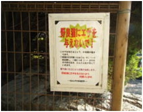 愛媛県松山総合公園とは？虐待をあおる看板が数々！石を投げられ死んだ白猫や両耳をそがれた猫がいます017
