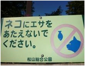 愛媛県松山総合公園とは？虐待をあおる看板が数々！石を投げられ死んだ白猫や両耳をそがれた猫がいます025