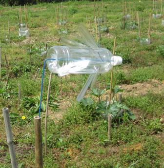 モグラ対策 ペットボトル風車試作 設置 健康生活 有機 自然流から自然栽培へ