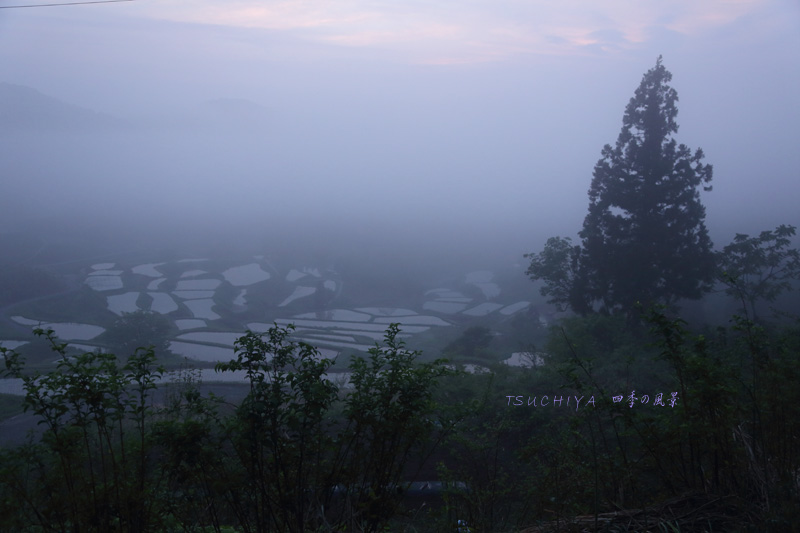 松之山　霧の風景