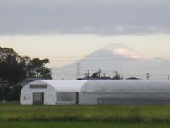 ［写真］ポレポレ農園の後ろに見える富士山