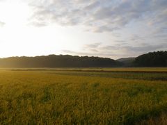 ［写真］朝陽があたる三舟山