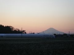 ［写真］いちごハウスの背景に見える夕焼けの富士山
