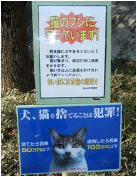 愛媛県松山総合公園とは？虐待をあおる看板が数々！石を投げられ死んだ白猫や両耳をそがれた猫がいます004