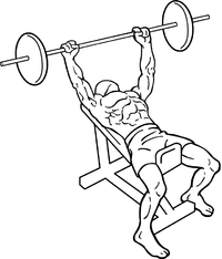 Incline-bench-press-1.png