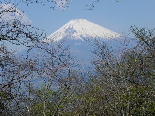 あずさ号から富士山 に対する画像結果